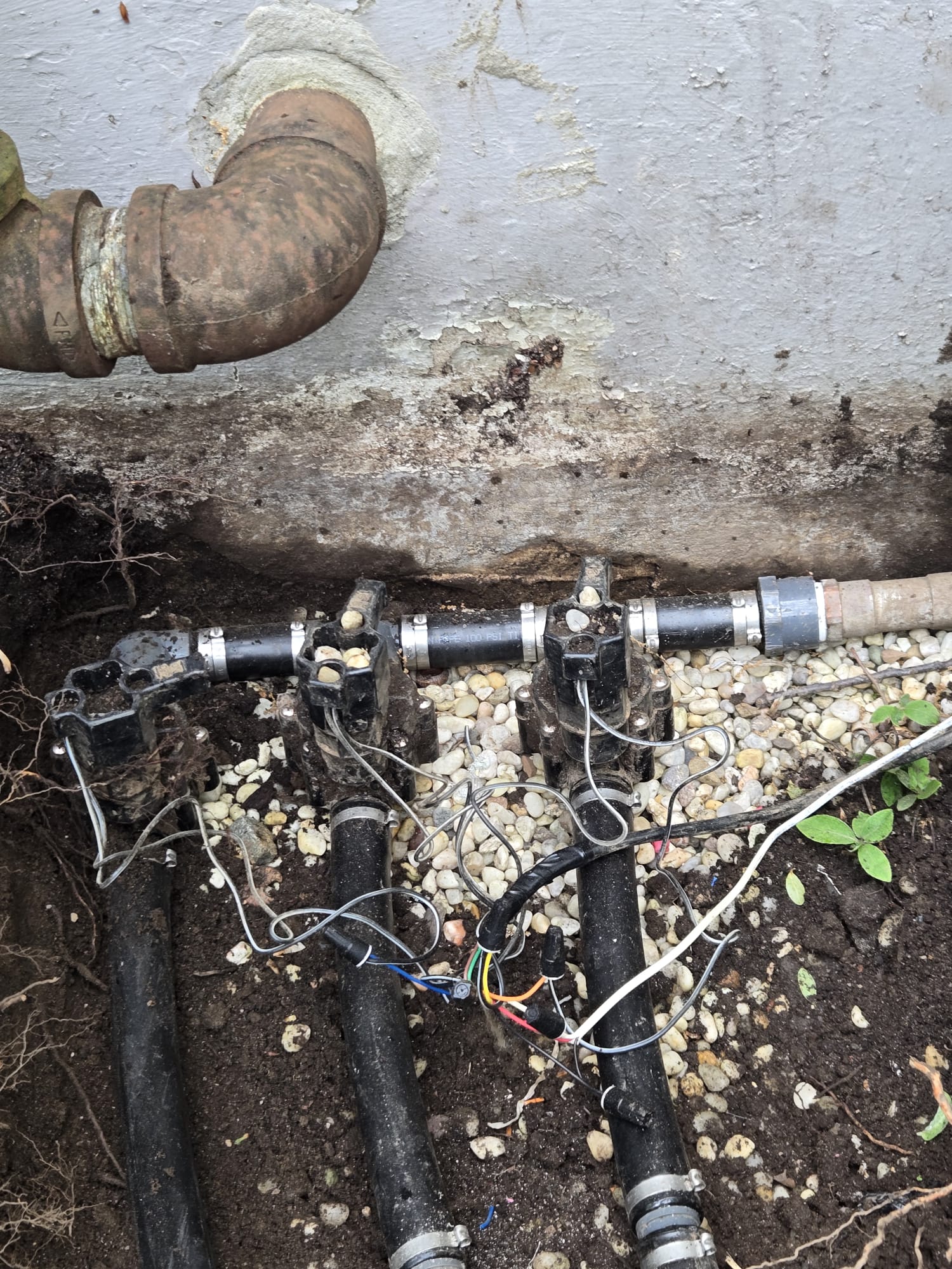 WhatsApp Image 2026-01-16 at 4.21.24 PM (1)